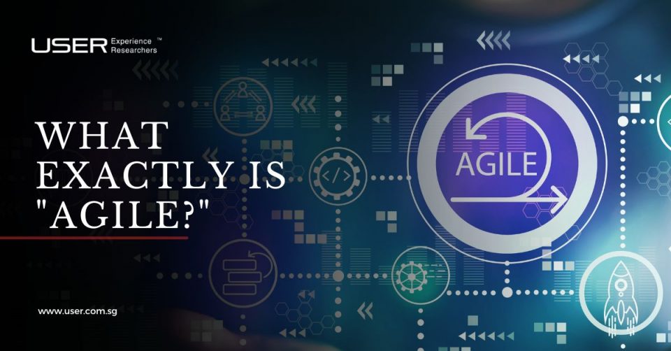 Essential "agile" facts you need to know